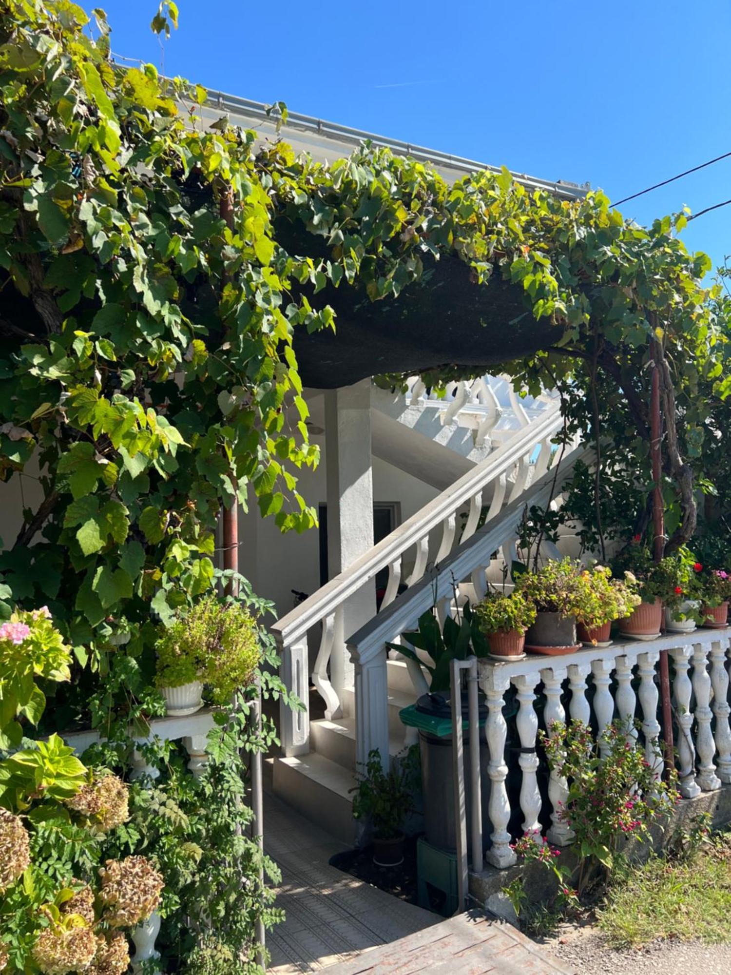 Kastrati Apartments Ulcinj Exterior photo